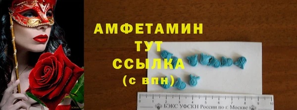 прущие грибы Белокуриха
