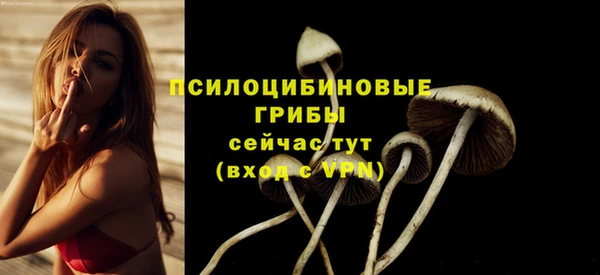 прущие грибы Белокуриха