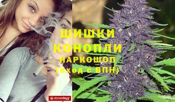 прущие грибы Белокуриха