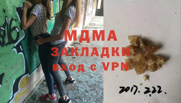 прущие грибы Белокуриха