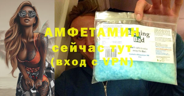 прущие грибы Белокуриха