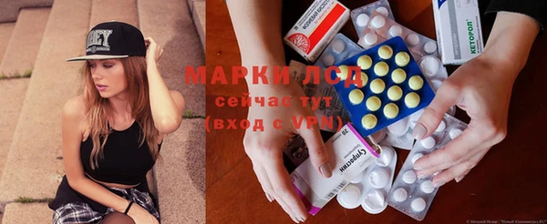 прущие грибы Белокуриха