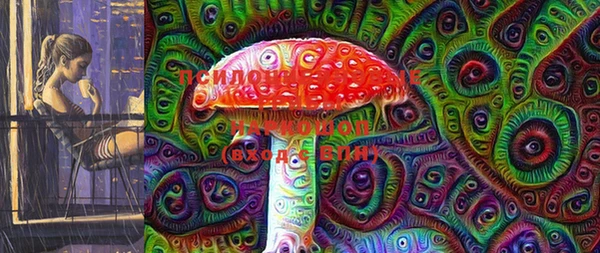 прущие грибы Белокуриха