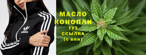 прущие грибы Белокуриха